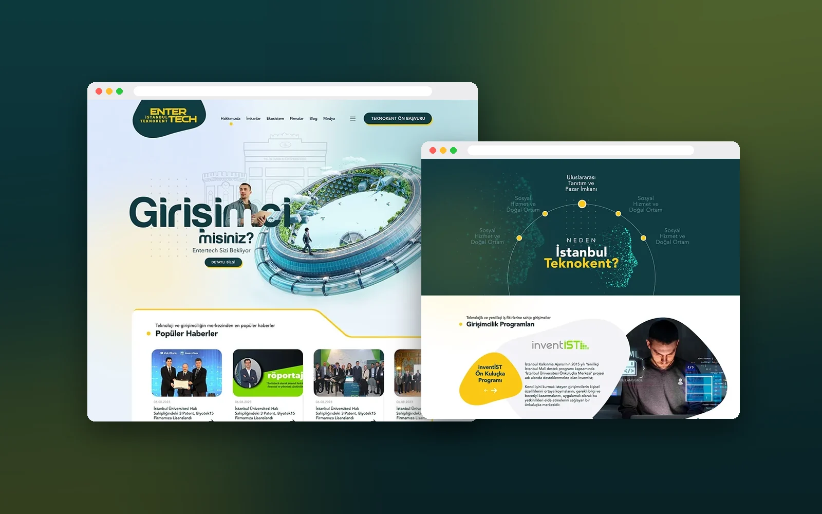 Entertech Istanbul Teknokent web design
